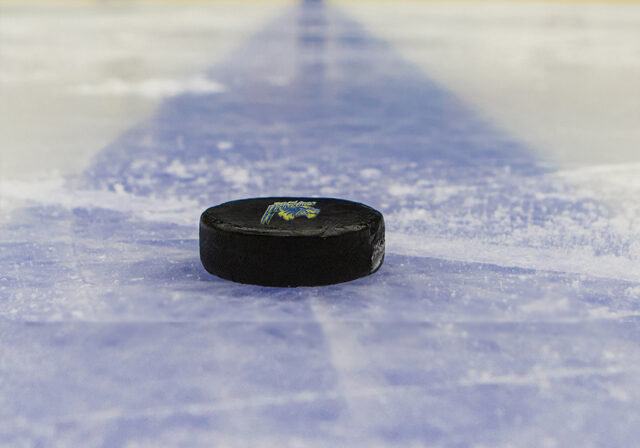 WEHL Web-firstice-img